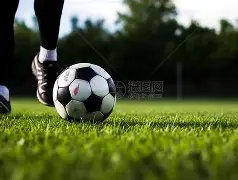 石原里美隐,秘伴侣酷似,小泉进次郎,凯发娱乐,凯发娱乐下载,凯发娱乐官网,凯发娱乐入口,凯发娱乐登录,凯发娱乐链接